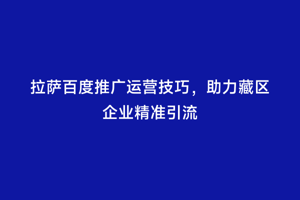 拉萨百度推广运营技巧，助力藏区企业精准引流