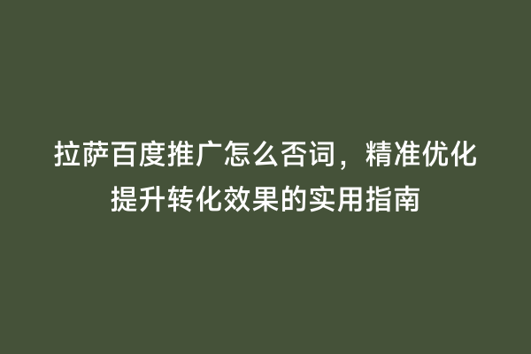 拉萨百度推广怎么否词，精准优化提升转化效果的实用指南