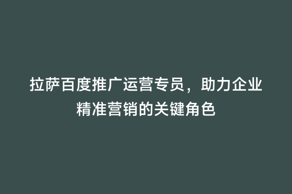 拉萨百度推广运营专员，助力企业精准营销的关键角色