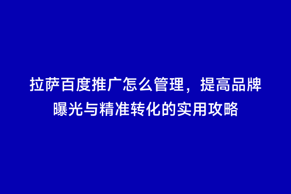 拉萨百度推广怎么管理，提高品牌曝光与精准转化的实用攻略