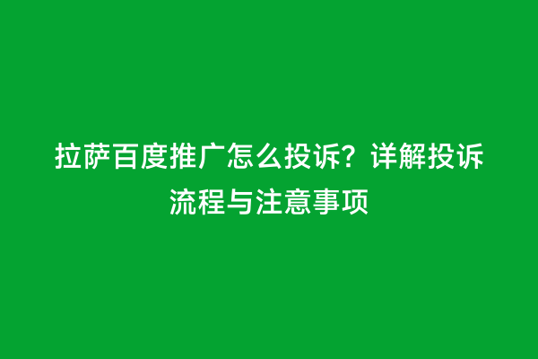 拉萨百度推广怎么投诉？详解投诉流程与注意事项