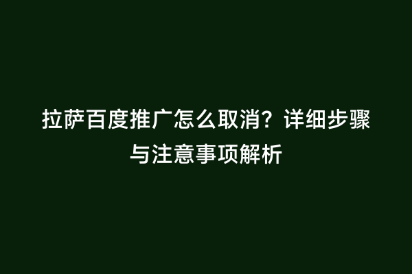 拉萨百度推广怎么取消？详细步骤与注意事项解析