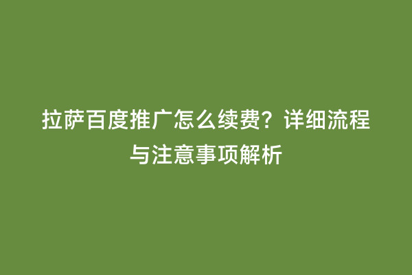 拉萨百度推广怎么续费？详细流程与注意事项解析