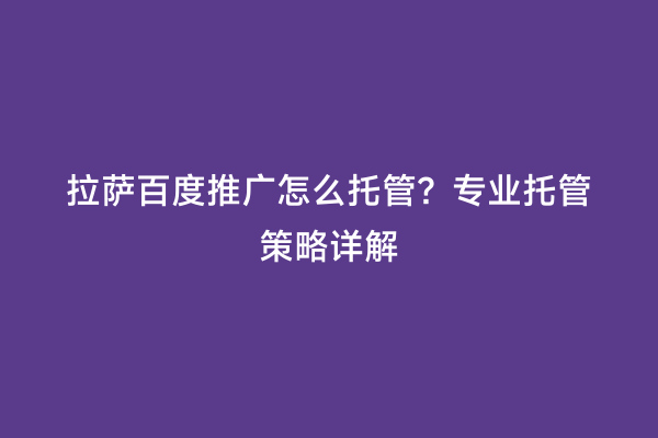 拉萨百度推广怎么托管？专业托管策略详解