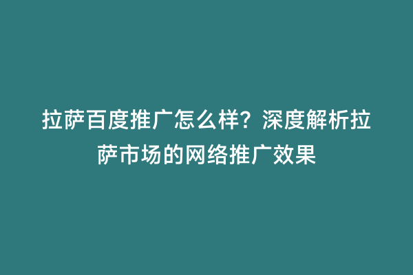 拉萨百度推广怎么样？深度解析拉萨市场的网络推广效果