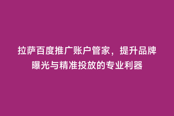 拉萨百度推广账户管家，提升品牌曝光与精准投放的专业利器