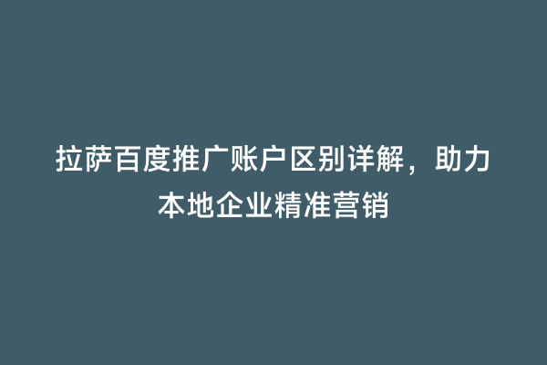 拉萨百度推广账户区别详解，助力本地企业精准营销