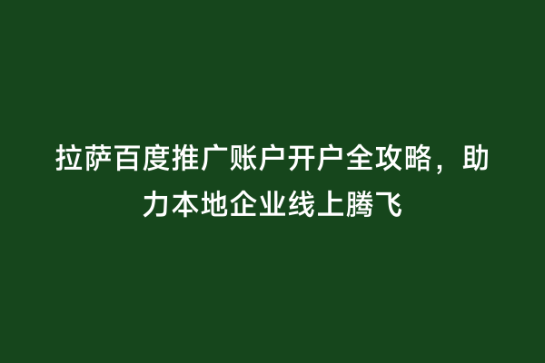 拉萨百度推广账户开户全攻略，助力本地企业线上腾飞