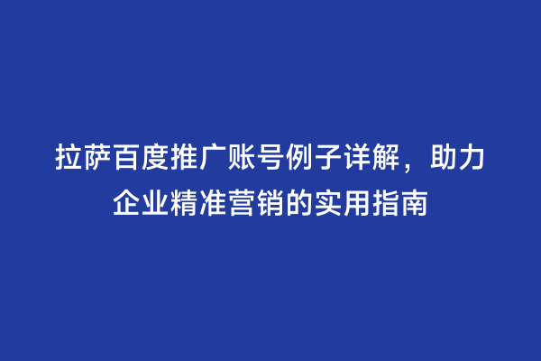 拉萨百度推广账号例子详解，助力企业精准营销的实用指南