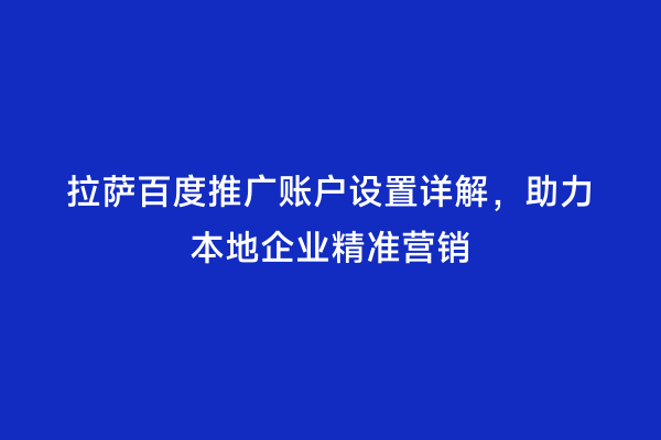 拉萨百度推广账户设置详解，助力本地企业精准营销
