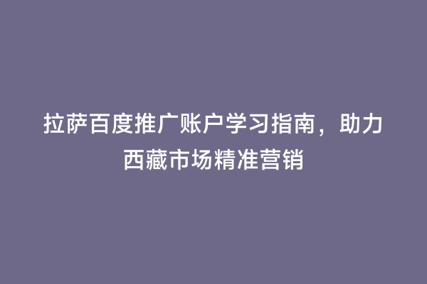 拉萨百度推广账户学习指南，助力西藏市场精准营销