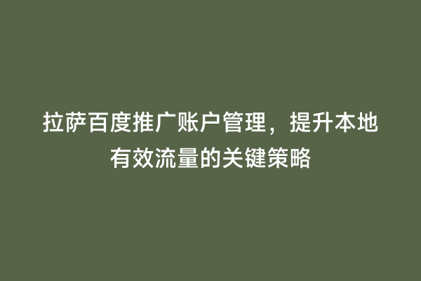 拉萨百度推广账户管理，提升本地有效流量的关键策略