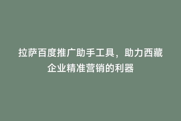 拉萨百度推广助手工具，助力西藏企业精准营销的利器