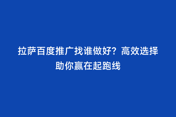 拉萨百度推广找谁做好？高效选择助你赢在起跑线