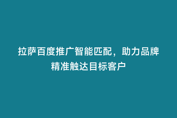 拉萨百度推广智能匹配，助力品牌精准触达目标客户