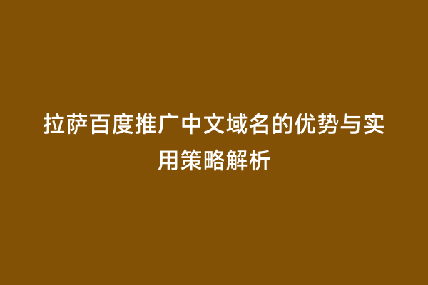 拉萨百度推广中文域名的优势与实用策略解析