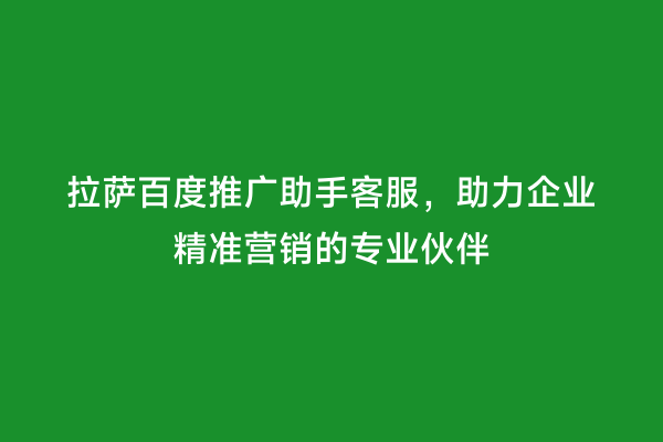 拉萨百度推广助手客服，助力企业精准营销的专业伙伴
