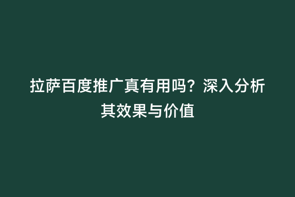 拉萨百度推广真有用吗？深入分析其效果与价值