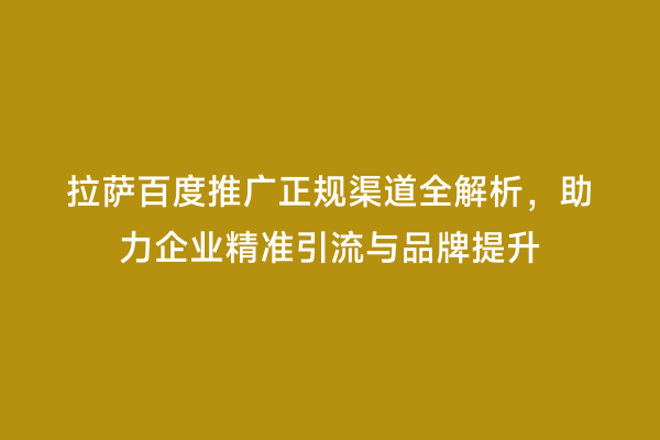 拉萨百度推广正规渠道全解析，助力企业精准引流与品牌提升