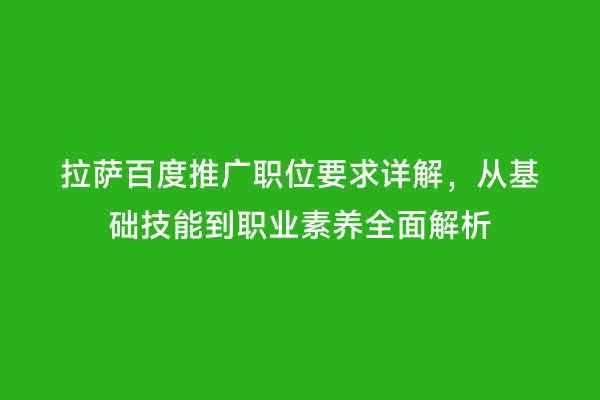 拉萨百度推广职位要求详解，从基础技能到职业素养全面解析