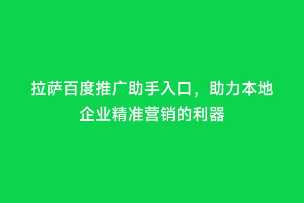 拉萨百度推广助手入口，助力本地企业精准营销的利器