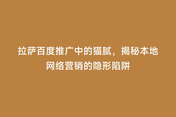 拉萨百度推广中的猫腻，揭秘本地网络营销的隐形陷阱