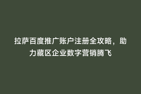 拉萨百度推广账户注册全攻略，助力藏区企业数字营销腾飞