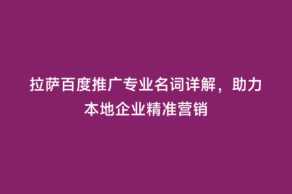 拉萨百度推广专业名词详解，助力本地企业精准营销