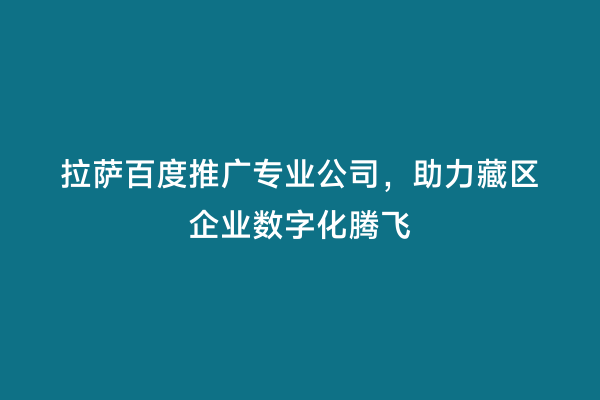 拉萨百度推广专业公司，助力藏区企业数字化腾飞