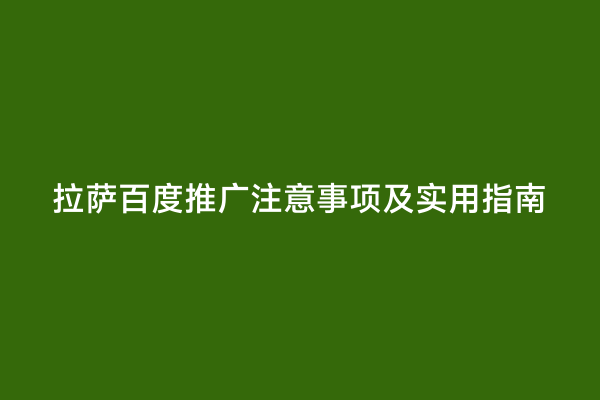 拉萨百度推广注意事项及实用指南