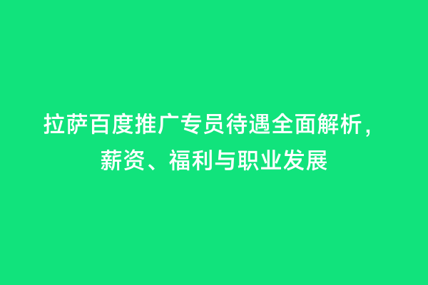 拉萨百度推广专员待遇全面解析，薪资、福利与职业发展