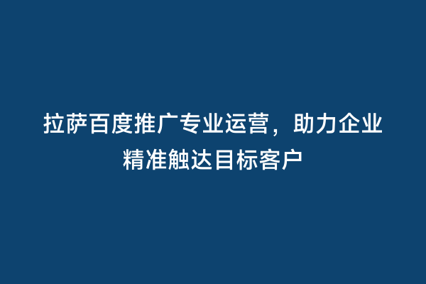 拉萨百度推广专业运营，助力企业精准触达目标客户