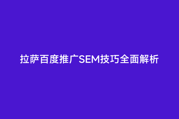 拉萨百度推广SEM技巧全面解析