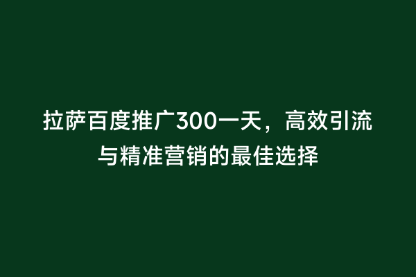 拉萨百度推广300一天，高效引流与精准营销的最佳选择