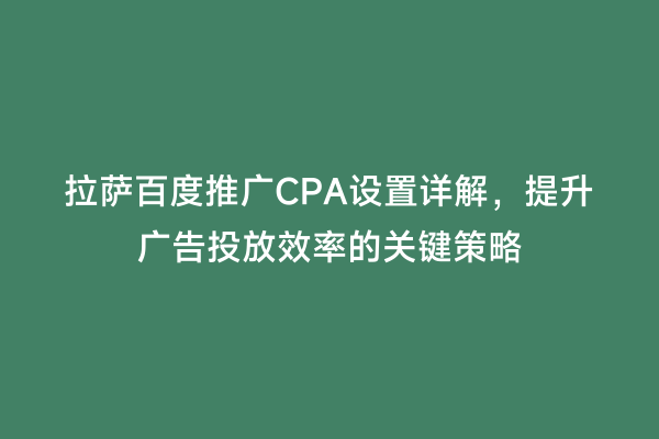 拉萨百度推广CPA设置详解，提升广告投放效率的关键策略