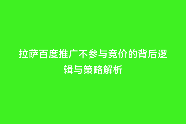 拉萨百度推广不参与竞价的背后逻辑与策略解析