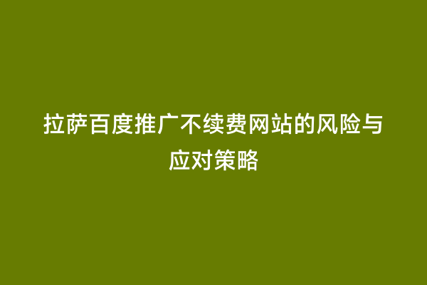 拉萨百度推广不续费网站的风险与应对策略