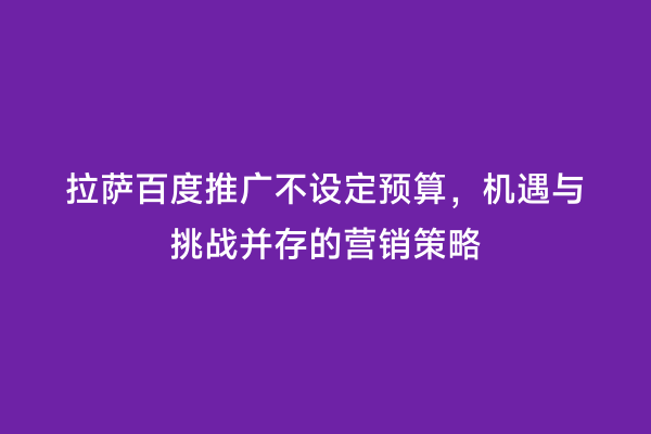 拉萨百度推广不设定预算，机遇与挑战并存的营销策略