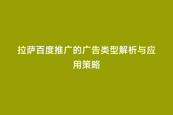 拉萨百度推广的广告类型解析与应用策略