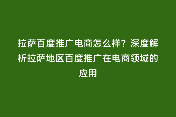 拉萨百度推广电商怎么样？深度解析拉萨地区百度推广在电商领域的应用