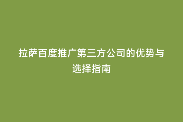拉萨百度推广第三方公司的优势与选择指南