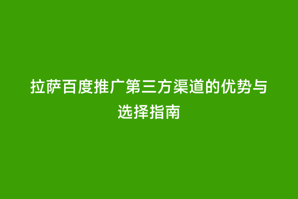 拉萨百度推广第三方渠道的优势与选择指南