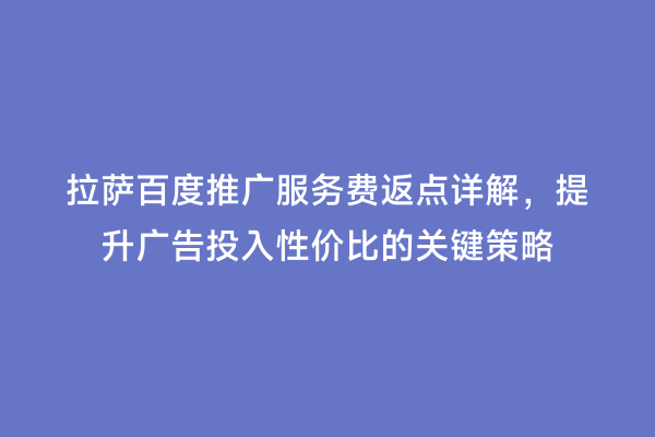 拉萨百度推广服务费返点详解，提升广告投入性价比的关键策略