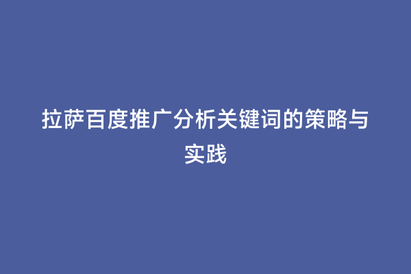 拉萨百度推广分析关键词的策略与实践