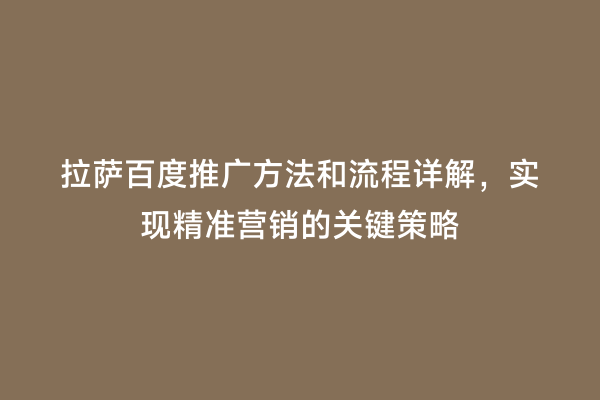 拉萨百度推广方法和流程详解，实现精准营销的关键策略