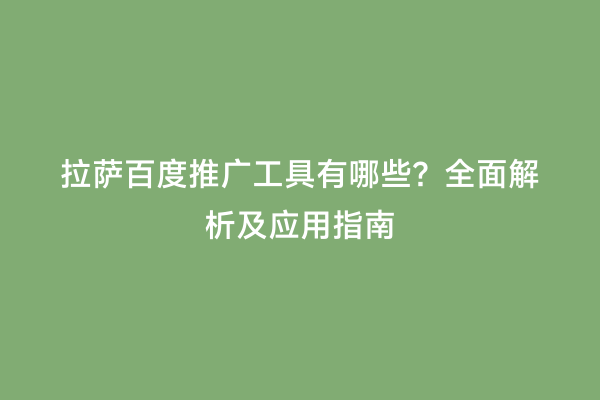 拉萨百度推广工具有哪些？全面解析及应用指南