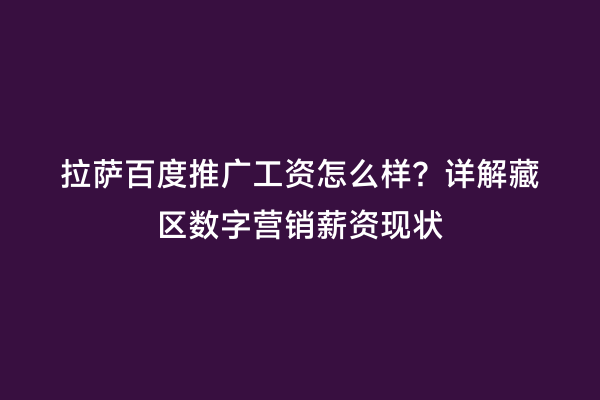 拉萨百度推广工资怎么样？详解藏区数字营销薪资现状
