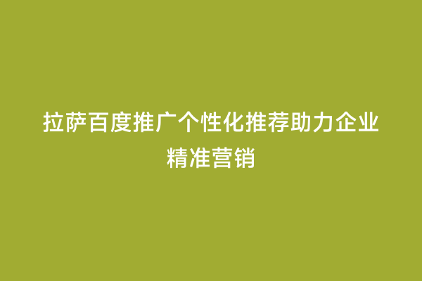 拉萨百度推广个性化推荐助力企业精准营销