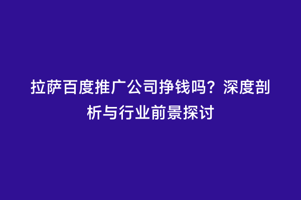 拉萨百度推广公司挣钱吗？深度剖析与行业前景探讨