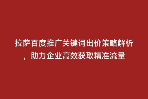 拉萨百度推广关键词出价策略解析，助力企业高效获取精准流量